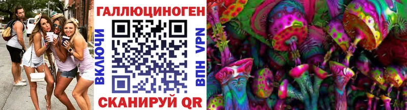 закладка  Борзя  Псилоцибиновые грибы ЛСД 